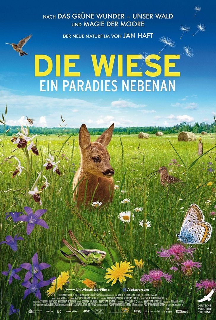 Filmplakat „Die Wiese – Ein Paradies nebenan“